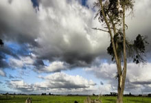 [NBA]康宁汉姆29+9 活塞战胜爵士.